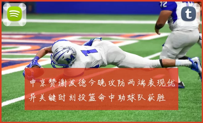 申京赞谢泼德今晚攻防两端表现优异关键时刻投篮命中助球队获胜